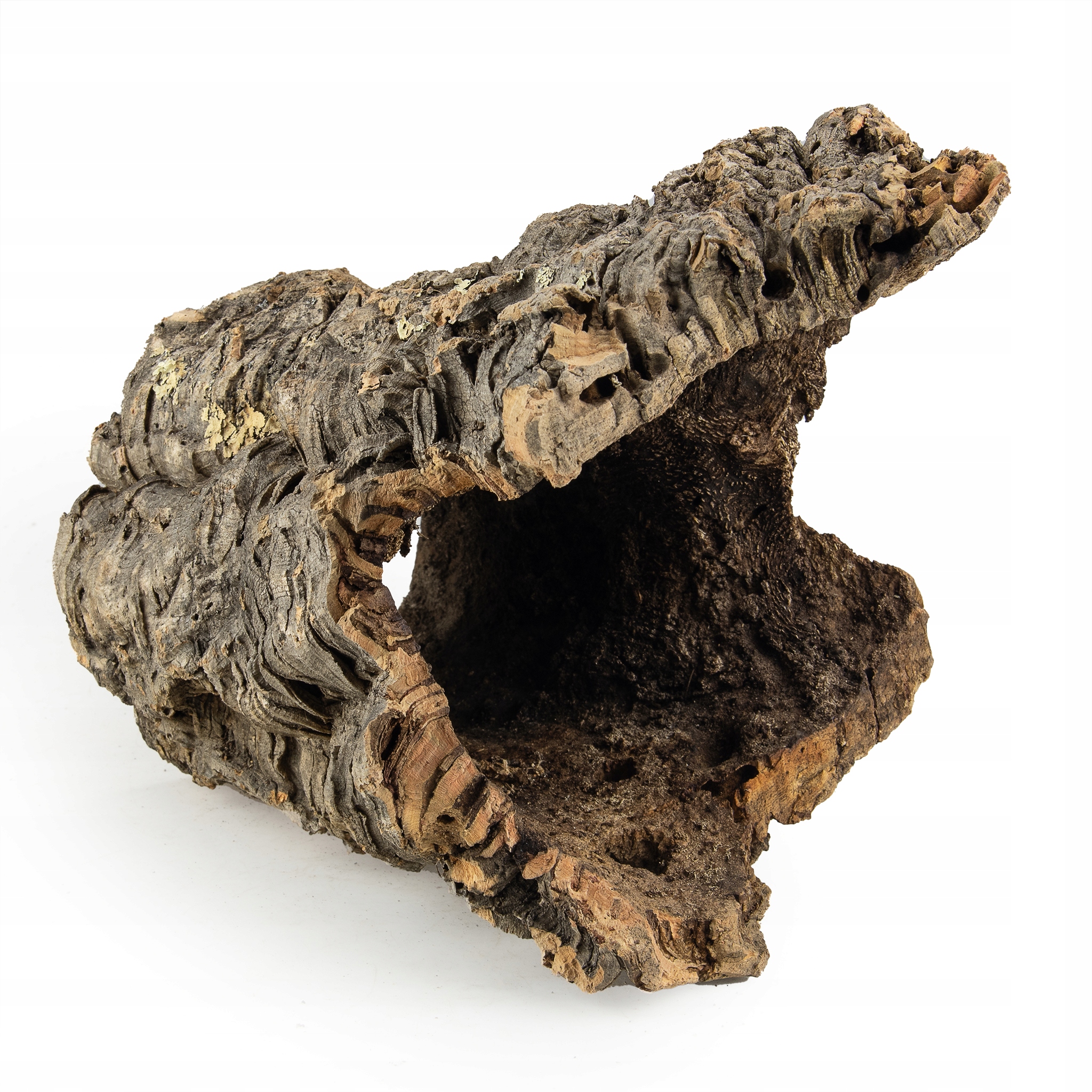 Korková dubová kůra Přírodní Dekorativní pro Terárium Velký Exemplář 35x16cm