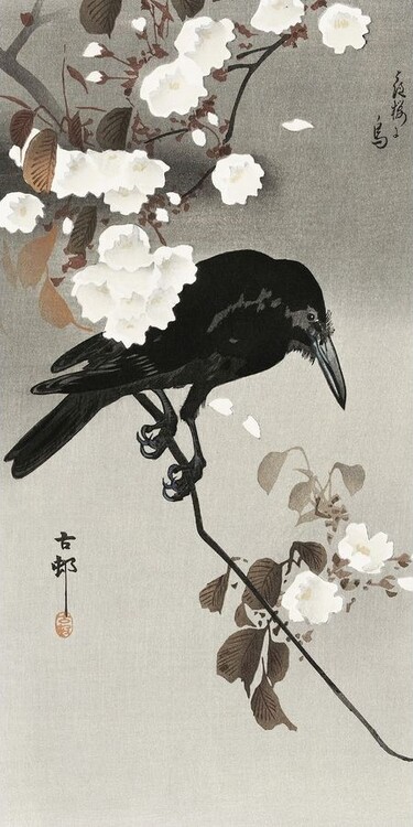 CLOSE UP Umělecký tisk Crow And Cherry Blossom, Ohara Koson, (20 x 40 cm)