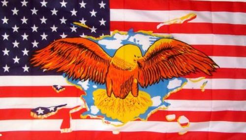 Vlajka USA orel 90x150cm č.81