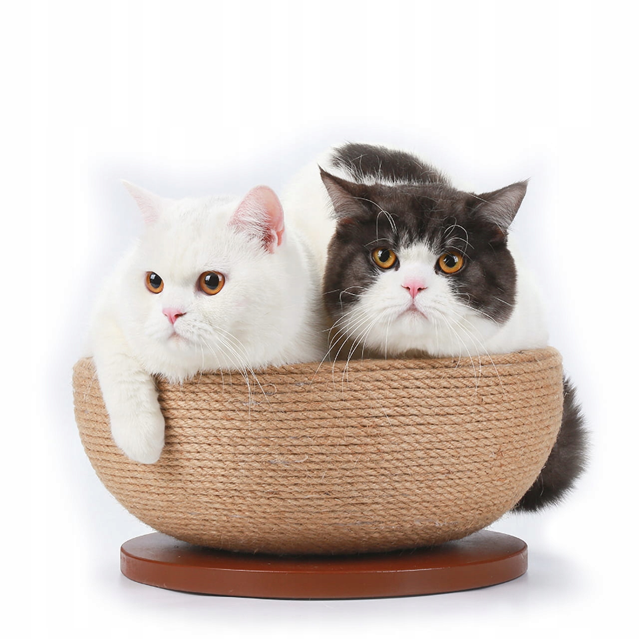 Kočičí miska sisalové Pelíšek pro kočky s funkcí škrabadla |45 x 45 x 16 cm