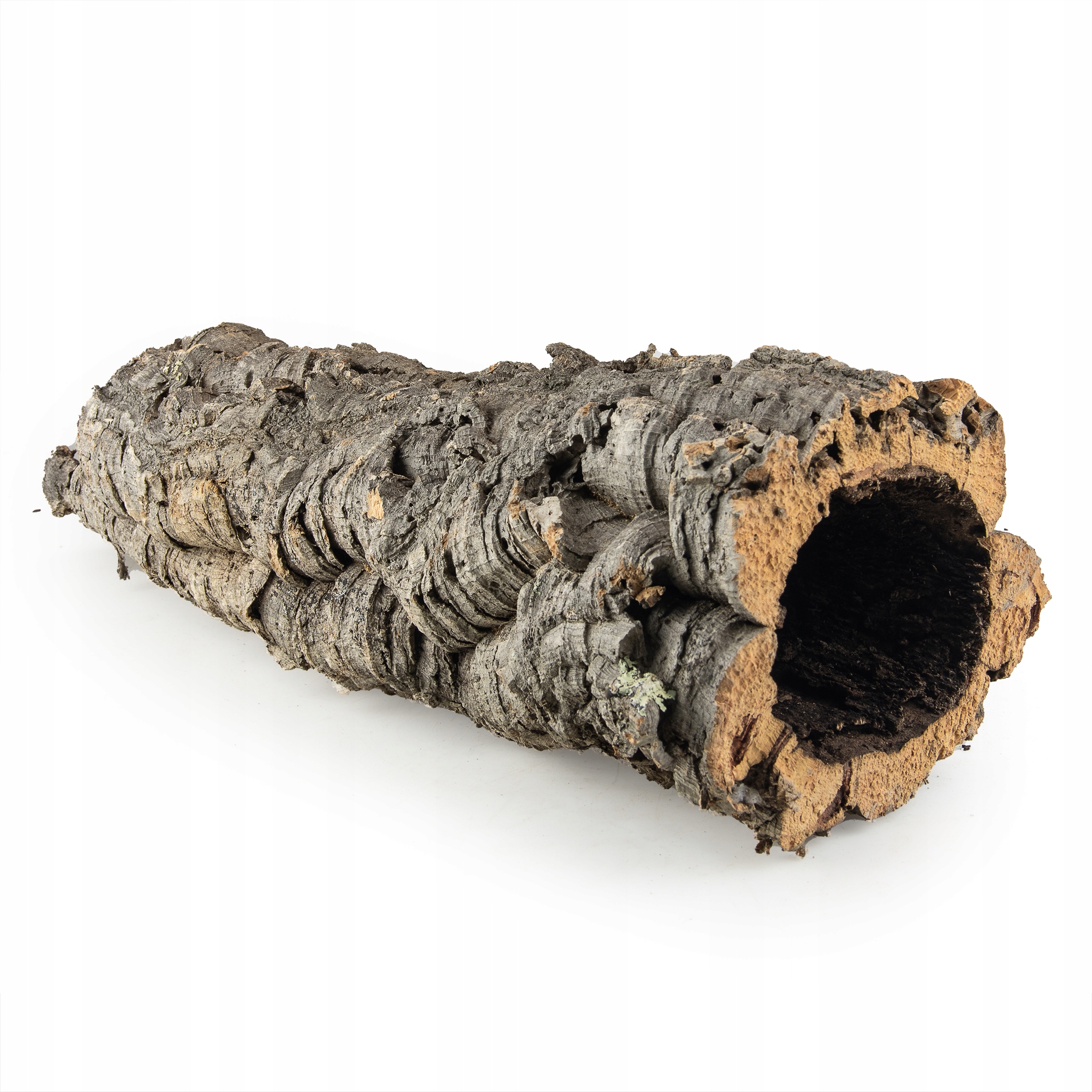 Korková dubová kůra Přírodní Dekorativní pro Terárium Velký Exemplář 50x13cm