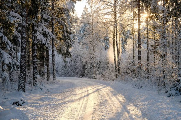 Schon Umělecká fotografie Narrow snowy forest road on a sunny winter day, Schon, (40 x 26.7 cm)