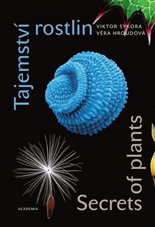 Tajemství rostlin