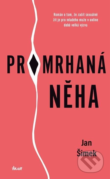 Promrhaná něha - Jan Šimek