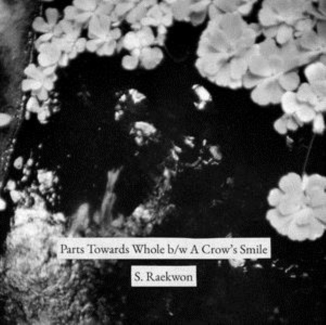 Part Towards Whole/A Crow's Smile (S. Raekwon) (Vinyl / 7