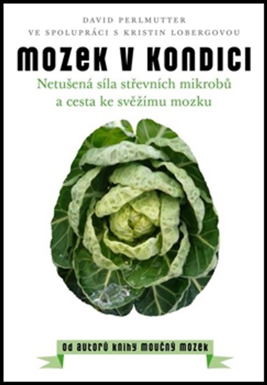 Mozek v kondici
