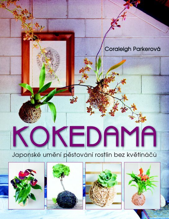 Kokedama