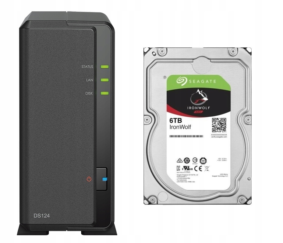 DS124 6TB Seagate IronWolf souborový server