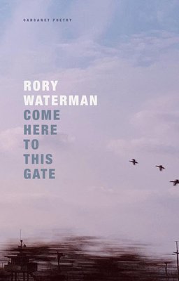 Come Here to This Gate (Waterman Rory)(Paperback)