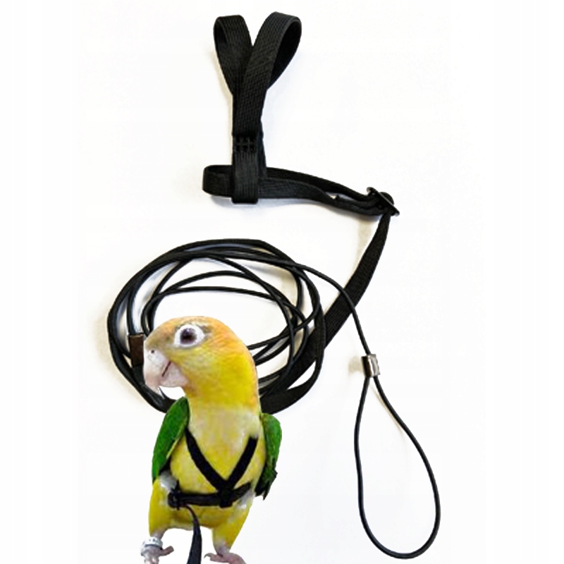 Kšandy pro papoušky M vyrobené v Eu, ptáci 425 – 600 g Terra International