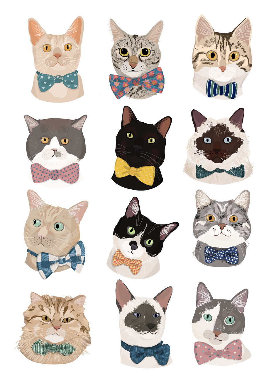Hanna Melin Ilustrace Cats In Bow Tie, Hanna Melin, (30 x 40 cm)