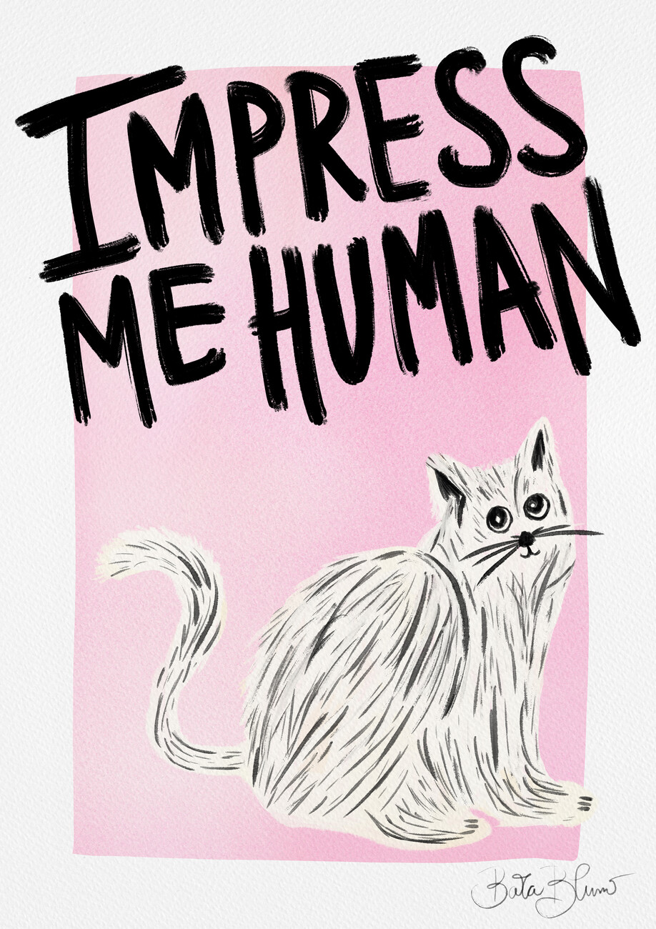 Baroo Bloom Ilustrace Cat Owner - Impress Me Human, Baroo Bloom, (30 x 40 cm)