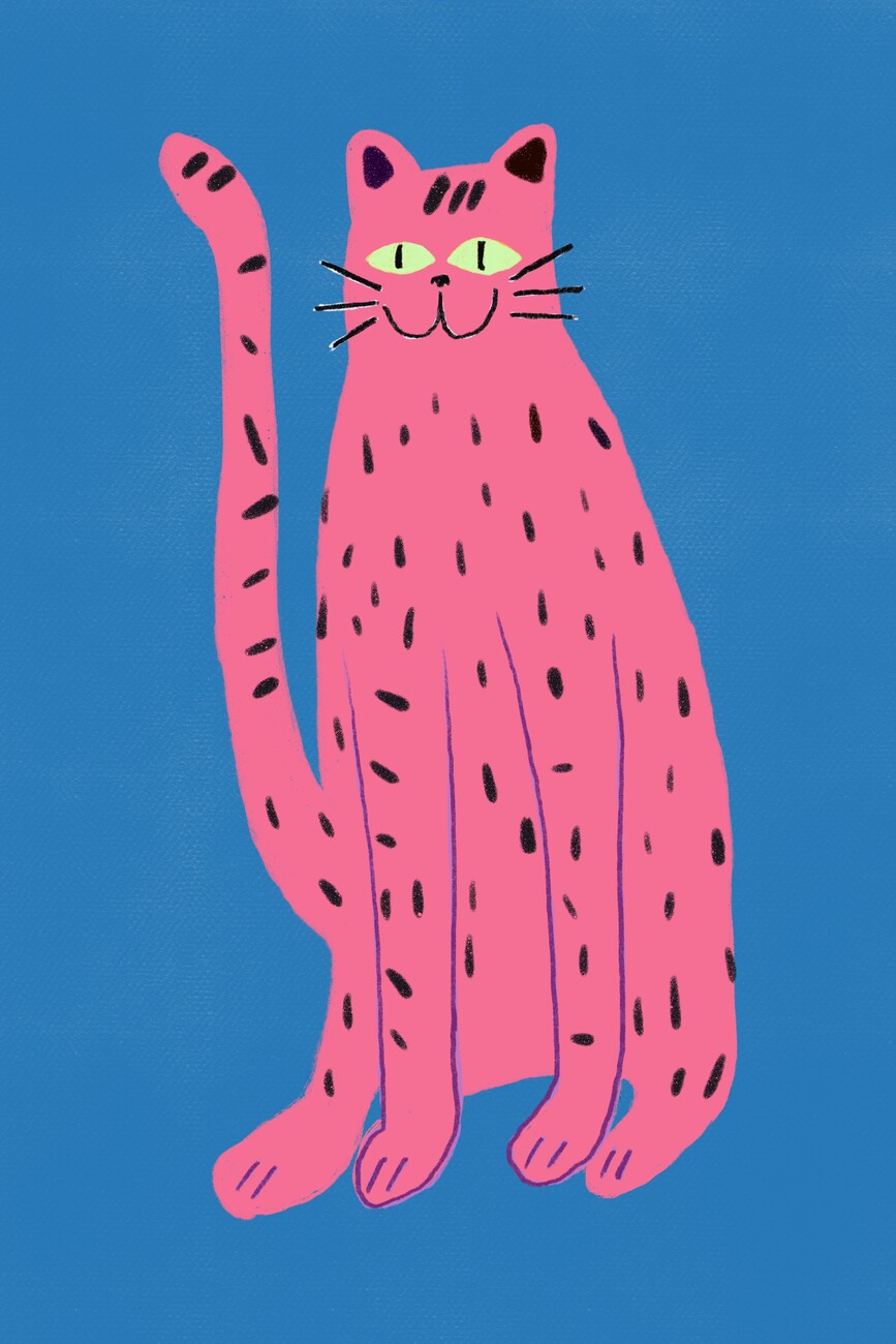 Little Dean Ilustrace Pink cat, Little Dean, (26.7 x 40 cm)