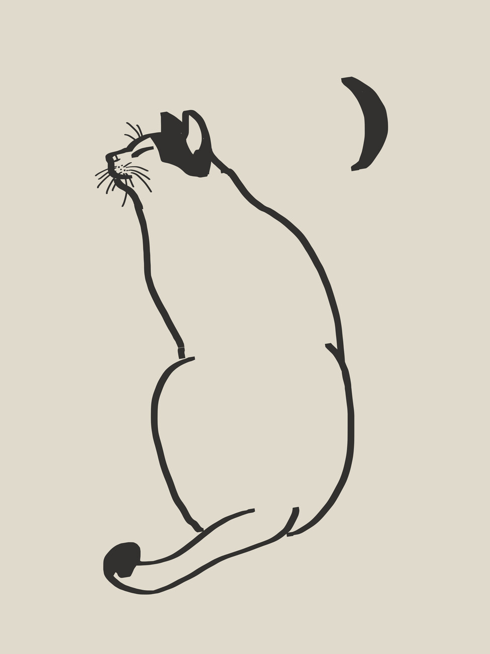 Little Dean Ilustrace Line Art Cat Drawing, Little Dean, (30 x 40 cm)