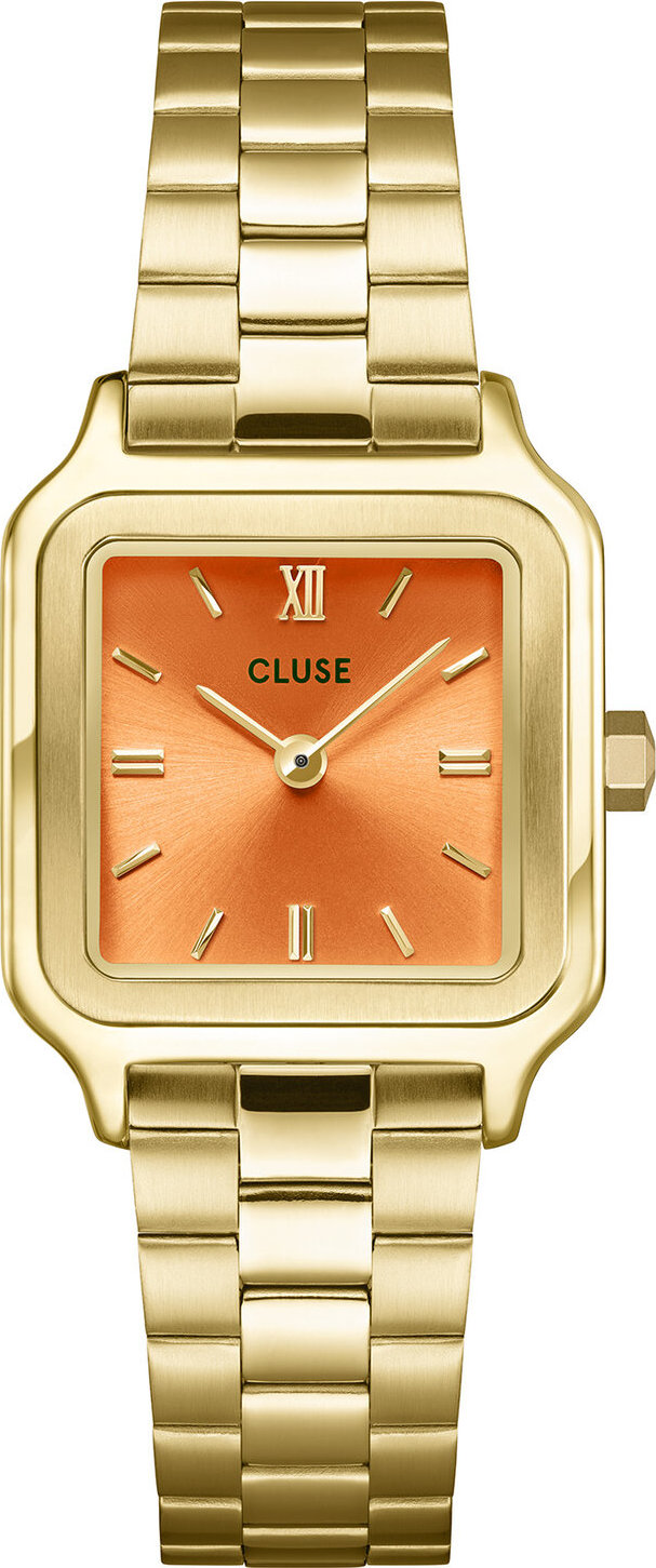 Hodinky Cluse Gracieuse Petite CW11807 Gold/Gold