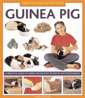 How to Look After Your Guinea Pig (Alderton David)(Pevná vazba)