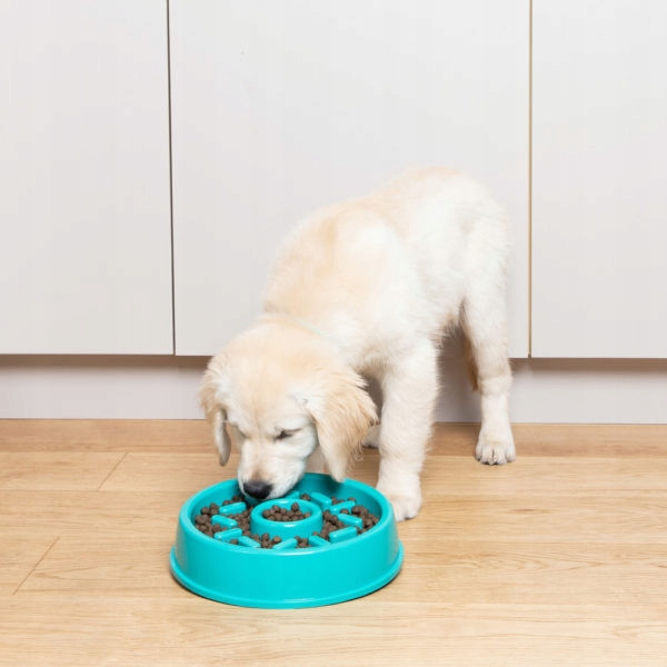 Miska Zpomalující Jídlo pro psa Zippypaws Donat Satis modrá 1 l
