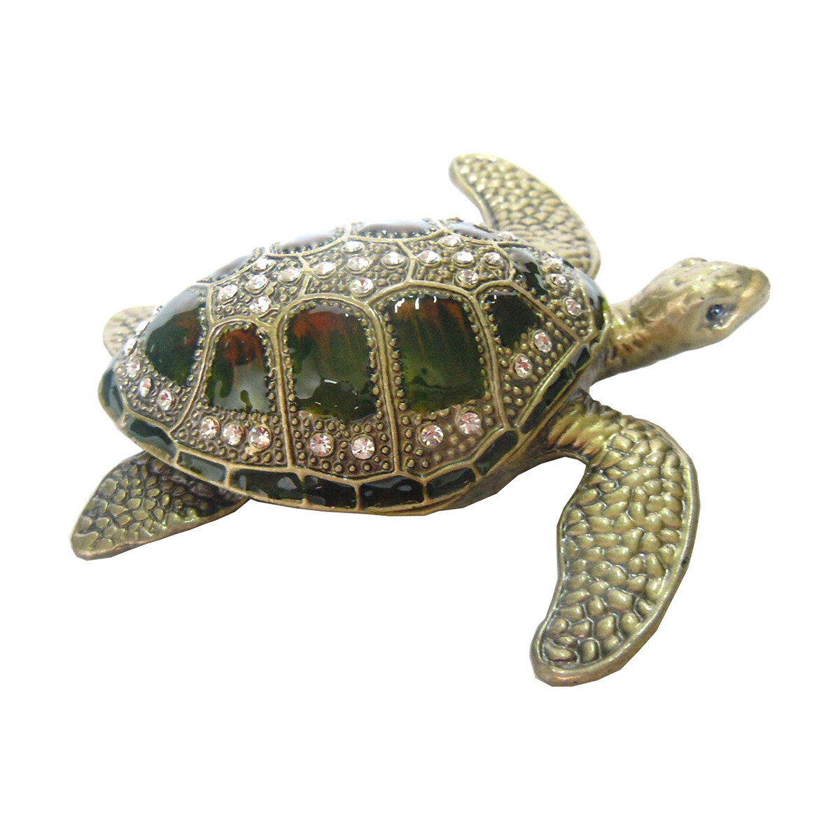 Signes Grimalt  Želva Šperkovnice  Hnědá