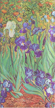 Zápisník Paperblanks - Van Gogh’s Irises - Slim linkovaný