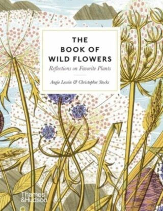 The Book of Wild Flowers: Reflections on Favourite Plants - Angie Lewin, Christopher Stocks