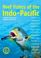 Reef Fishes of the Indo-Pacific (Bergbauer Matthias)(Paperback)