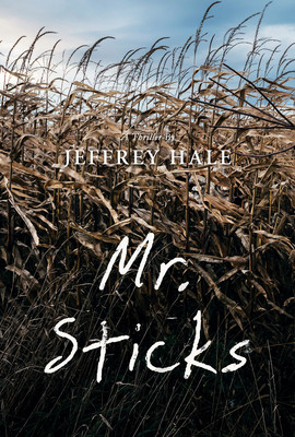 Mr. Sticks (Hale Jeffrey)(Paperback)