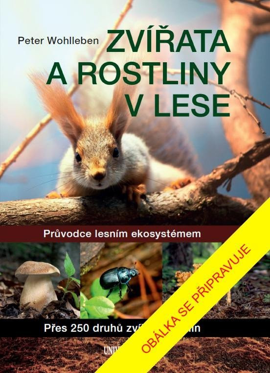 Zvířata a rostliny v lese, 2.  vydání - Peter Wohlleben