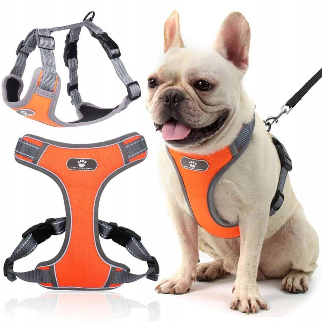 Tréninkové postroje pro psa Astro oranžové velikosti S