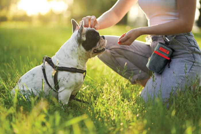 Kong Palubní Taška 13,5 X 12,5 CM