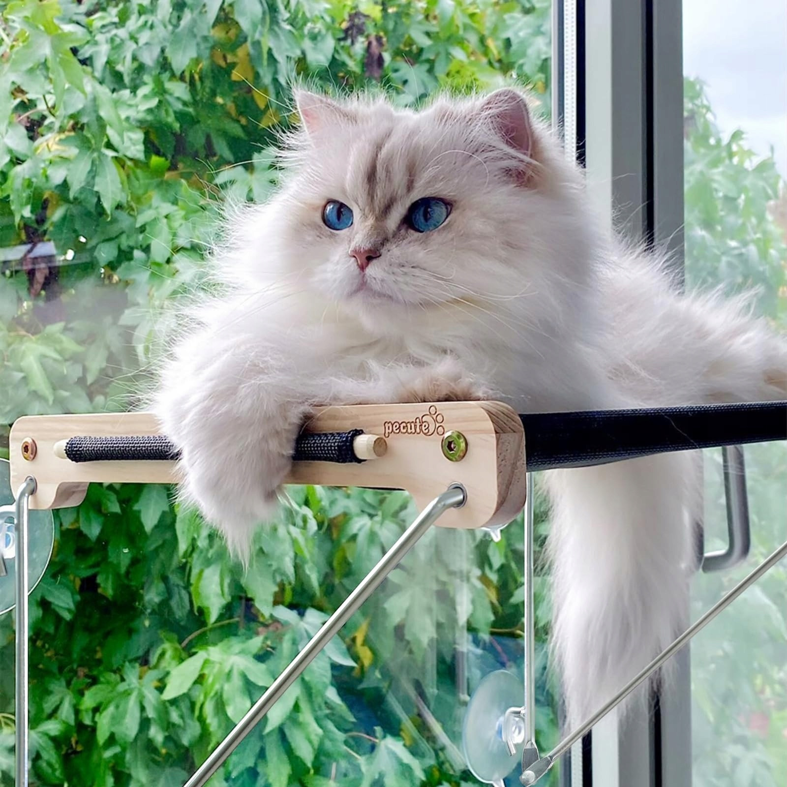 Okenní sedátka pro kočky Houpací síť s nosností do 15 kg z Masivního dřeva