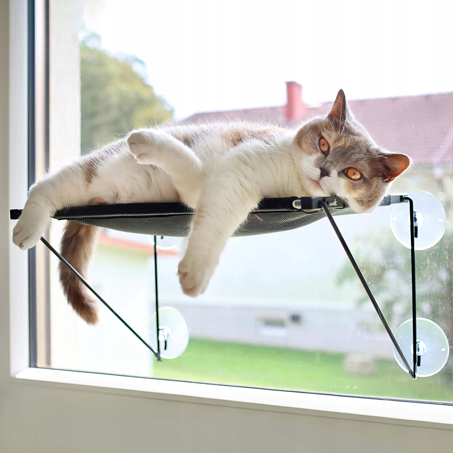 pecute Sedák pro kočky na sklo na přísavku Houpací síť do 15 kg Rám ze Sta