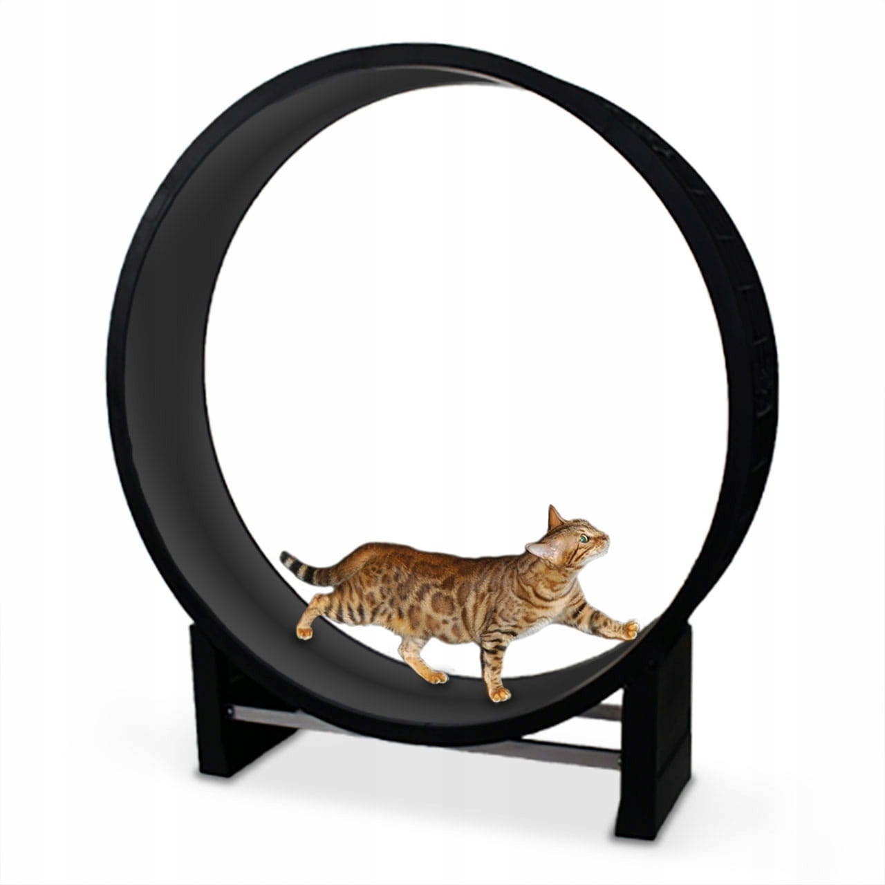 Běžecký pás pro kočky Canadian Cat Cat in Motion černý