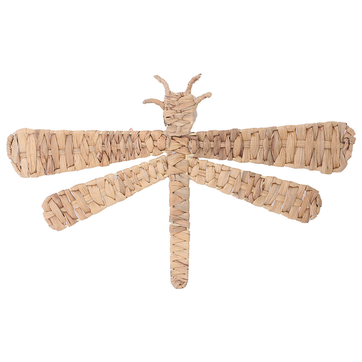 Signes Grimalt  Nástěnná Dekorace Vážka  Hnědá