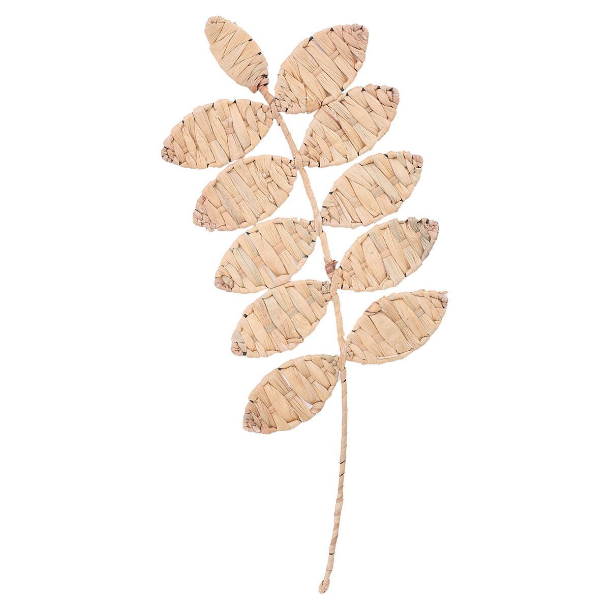 Signes Grimalt  List Ornament Na Zeď  Hnědá