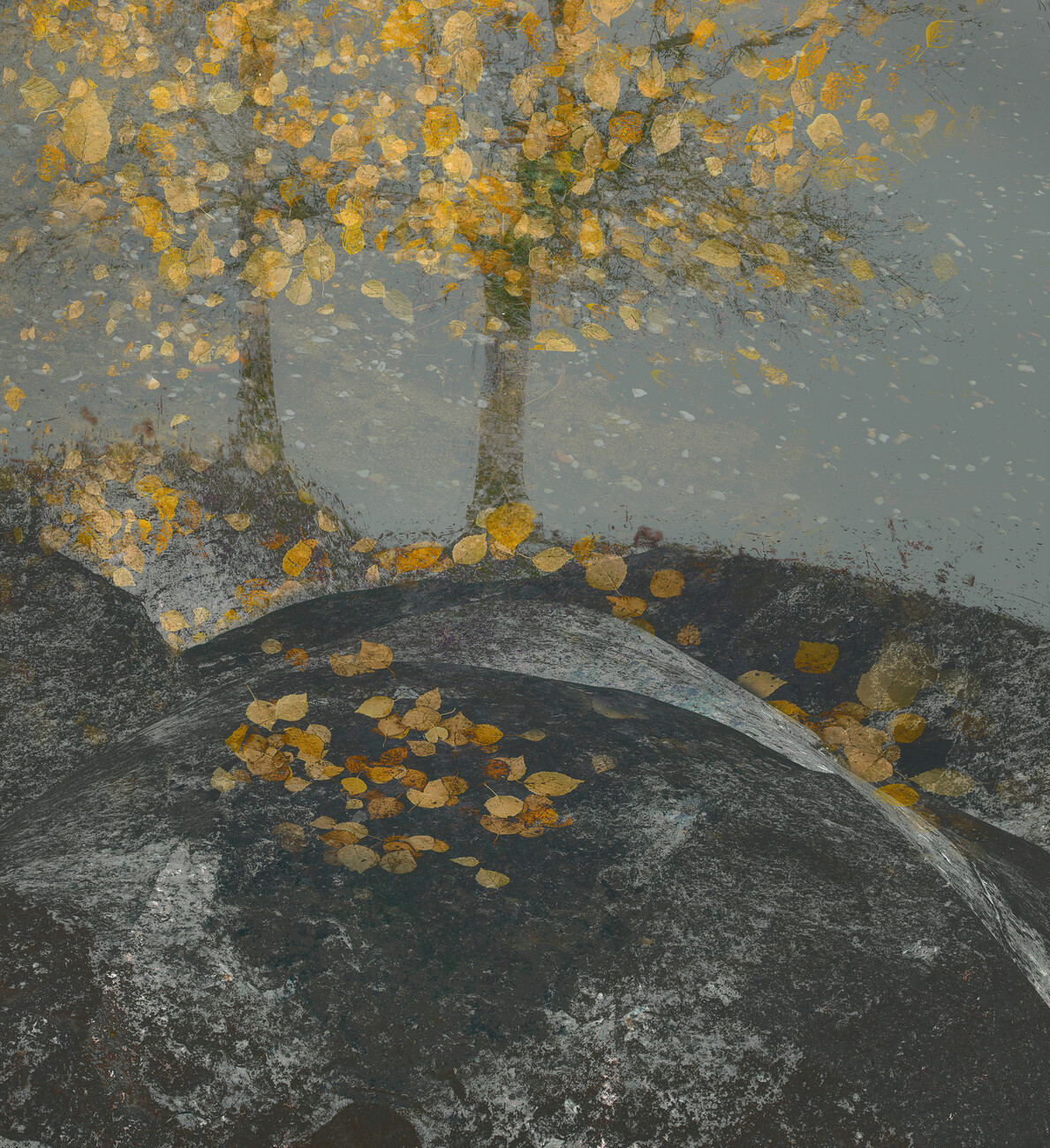 Nel Talen Ilustrace Falling leaves, Nel Talen, (35 x 40 cm)