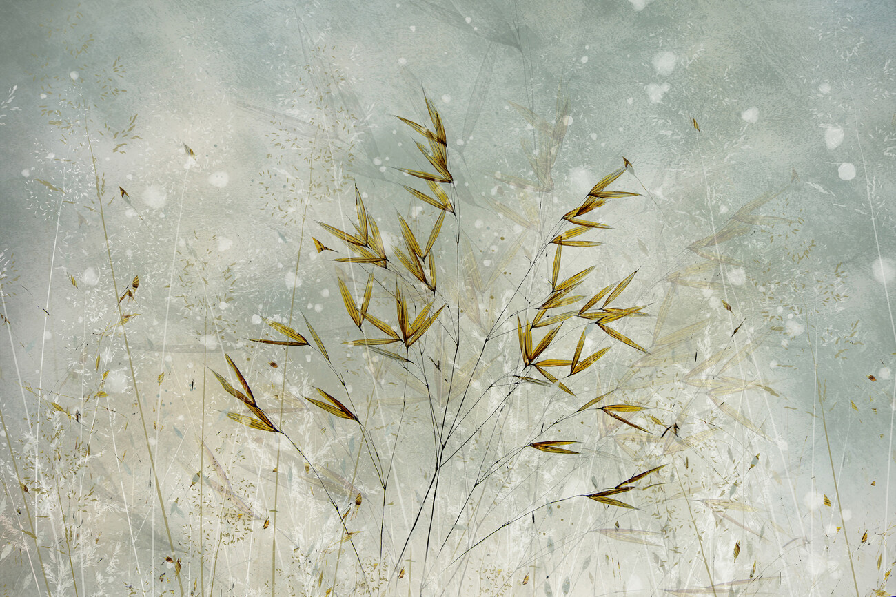 Nel Talen Ilustrace Wintertime, Nel Talen, (40 x 26.7 cm)