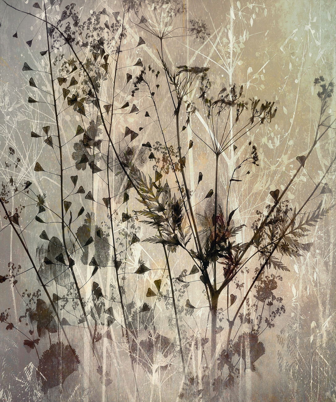 Nel Talen Ilustrace Field bouquet, Nel Talen, (35 x 40 cm)