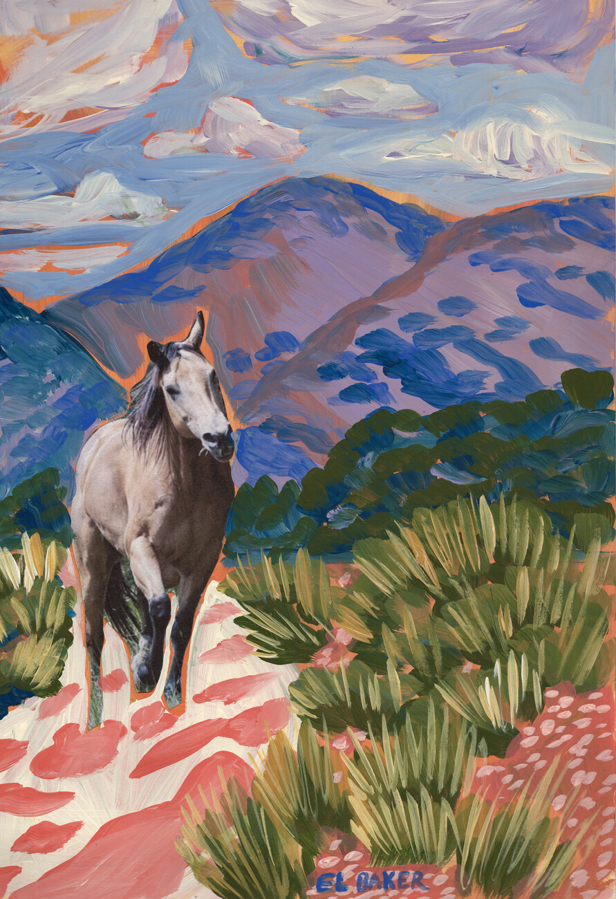 Eleanor Baker Ilustrace Horse exploring, Eleanor Baker, (26.7 x 40 cm)