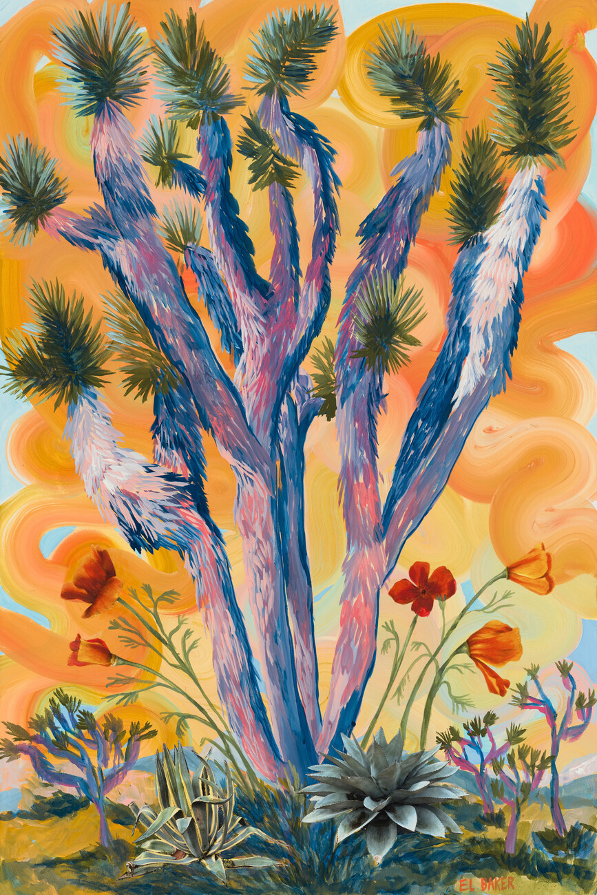 Eleanor Baker Ilustrace Desert flower, Eleanor Baker, (26.7 x 40 cm)
