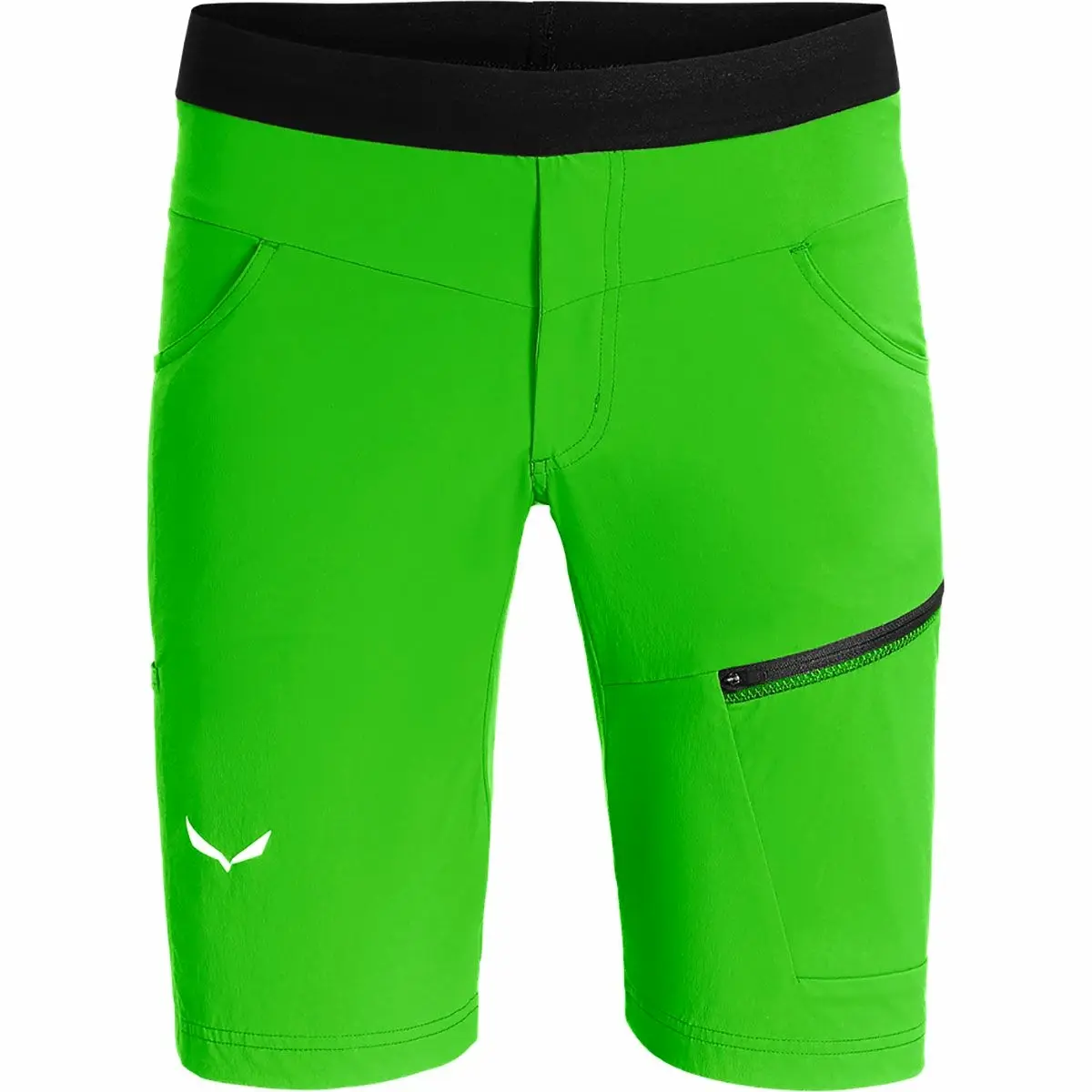 Pánské kraťasy Salewa  Agner Light DST Pale Frog