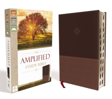 Amplified Study Bible, Imitation Leather, Brown, Indexed (Zondervan)(Imitation Leather)