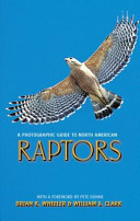 A Photographic Guide to North American Raptors (Wheeler Brian K.)(Paperback)