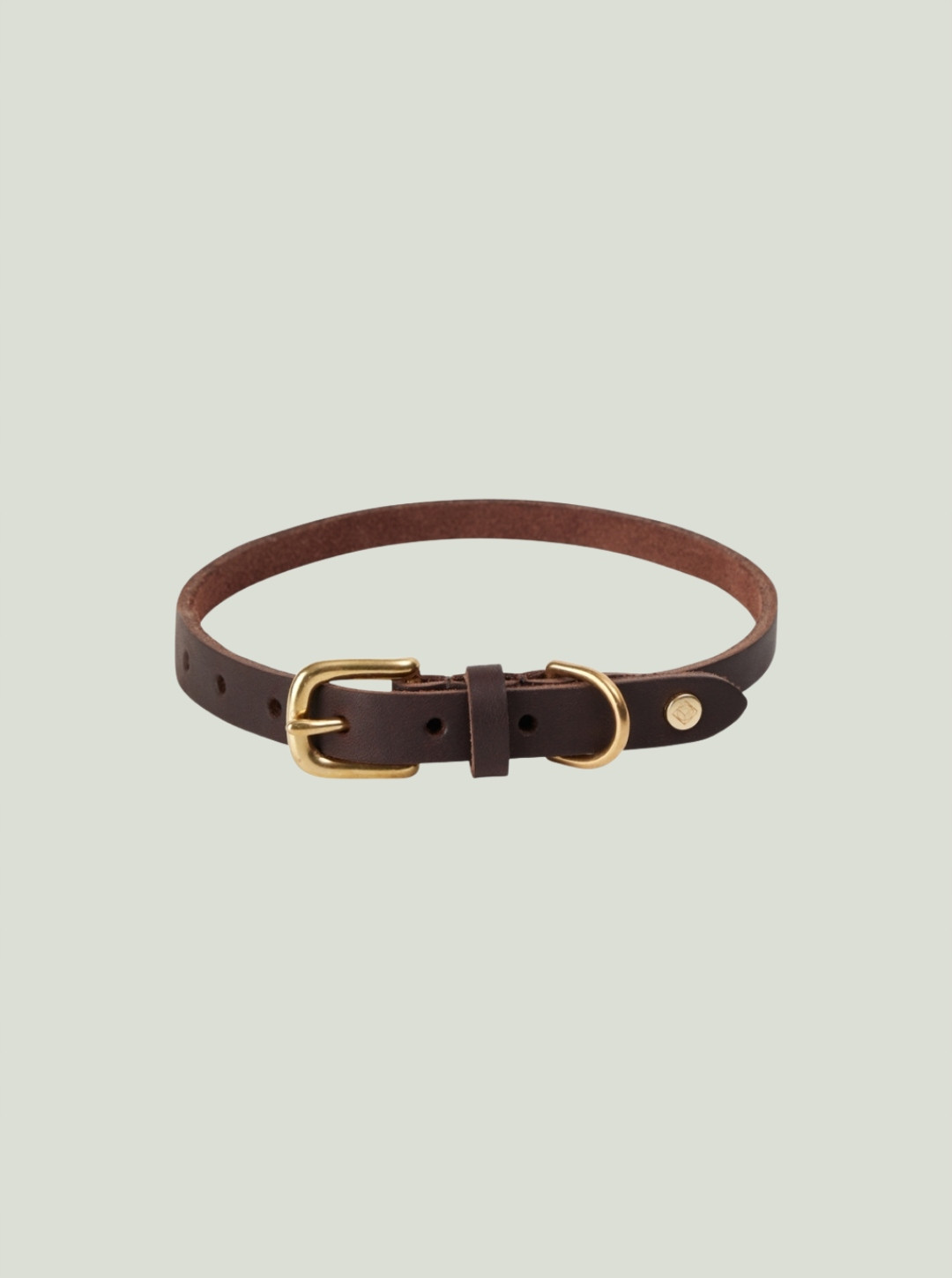 Obojek pro psa Robin Dog Collar Choco Oyoy Zoo Velikost: L