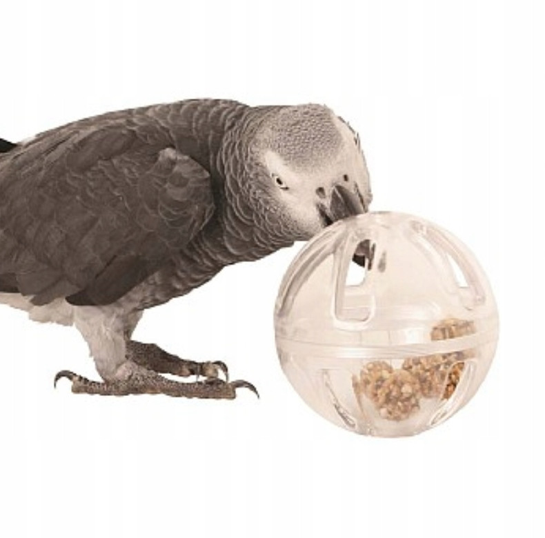 Hračka pro všechny papoušky Bufet v míči hračka na pamlsky