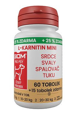 Giom S Pes L-karnitin Aktiv 60 Mini Tbl 25% Zdarma