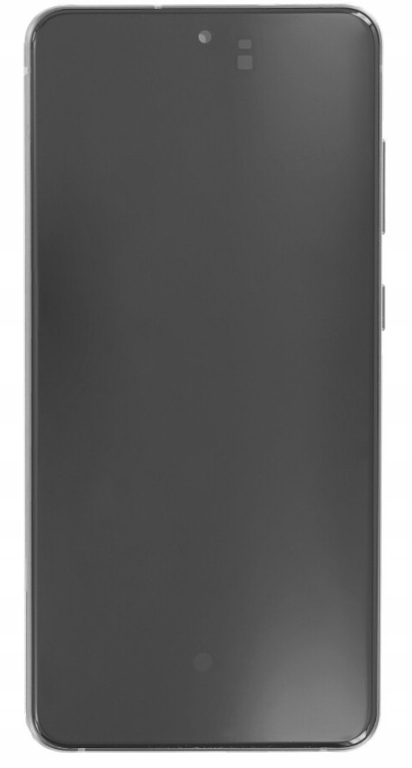 Orig LCD displej pro Samsung Galaxy S21 Fe 5G
