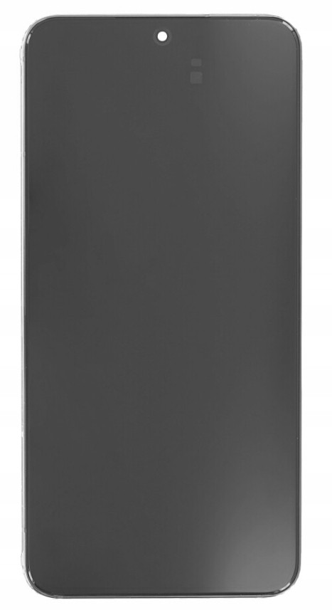 LCD displej Samsung Galaxy S22 Plus S906