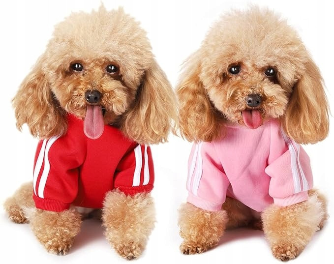 Oblečení pro psy Chihuahua oblečení pro malé psy barva červená a růžová