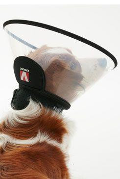 Límec ochranný Buster plastový Complete Collar 20cm