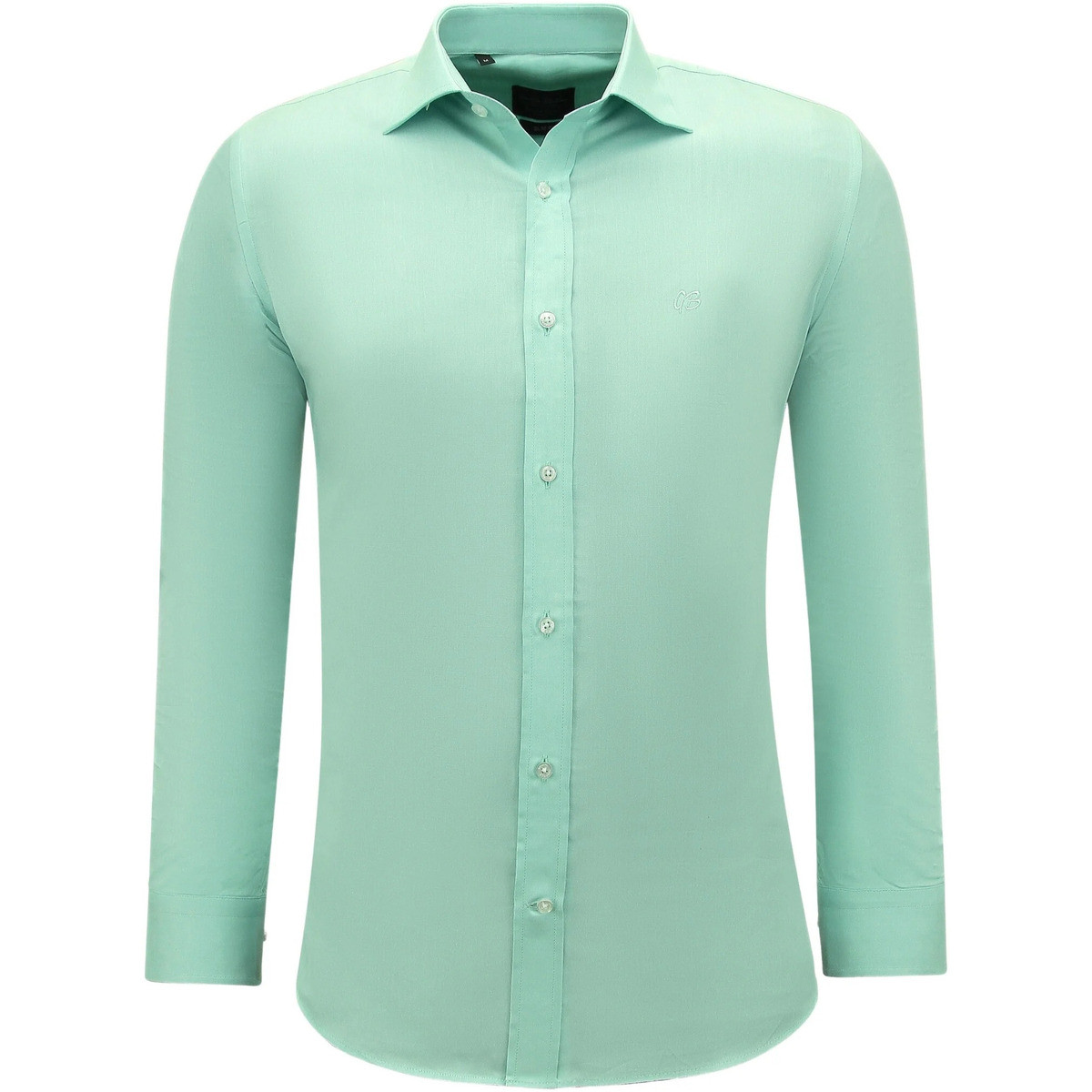 Gentile Bellini  144787219  Zelená